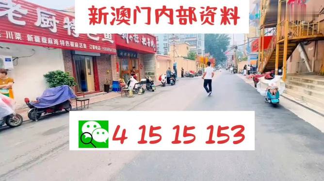 2024澳門天天開好彩大全2024,動(dòng)態(tài)詞語(yǔ)解釋落實(shí)_限量款46.628