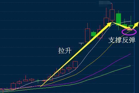 澳門今晚上開的什么特馬,可靠解析評估_FHD62.912