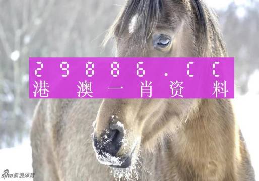 澳門一肖一碼100%精準(zhǔn)一,經(jīng)典解釋落實(shí)_領(lǐng)航版28.62