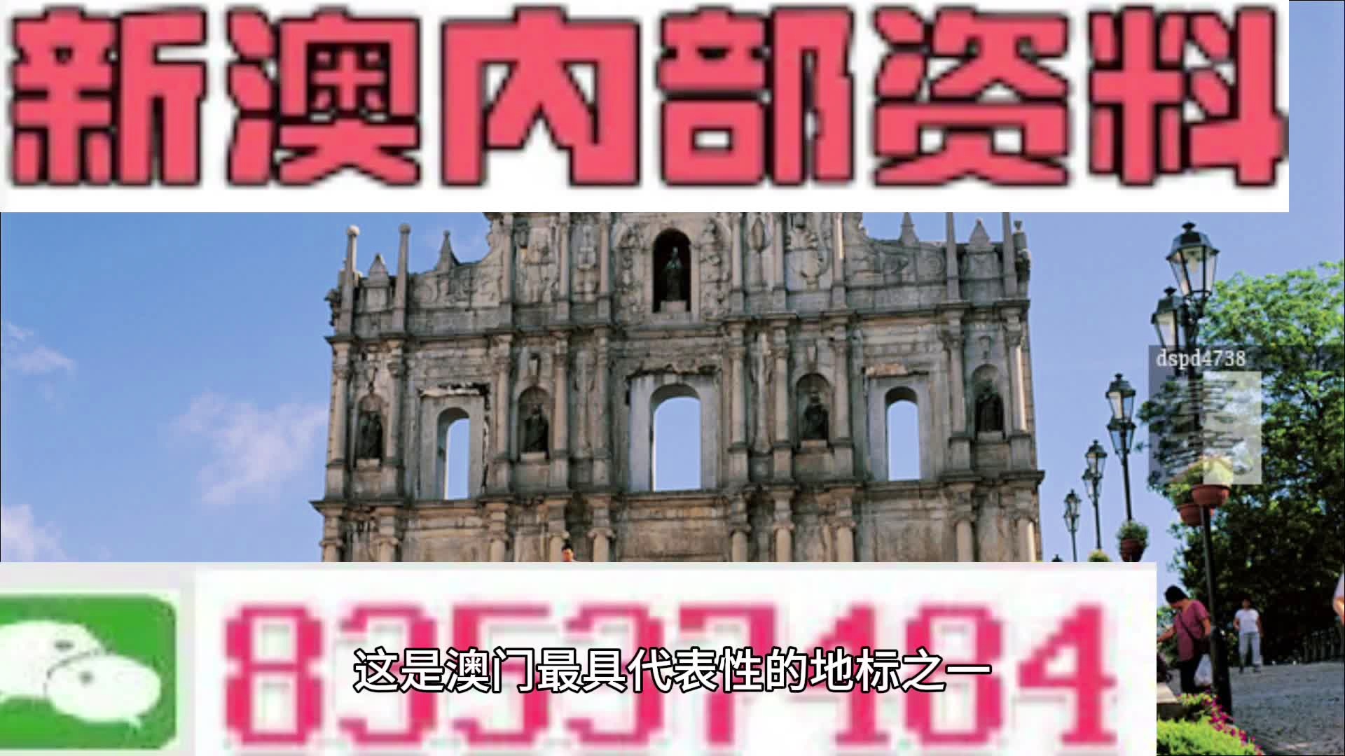 新澳精準(zhǔn)資料免費(fèi)提供221期,實(shí)地?cái)?shù)據(jù)解釋定義_旗艦版82.844