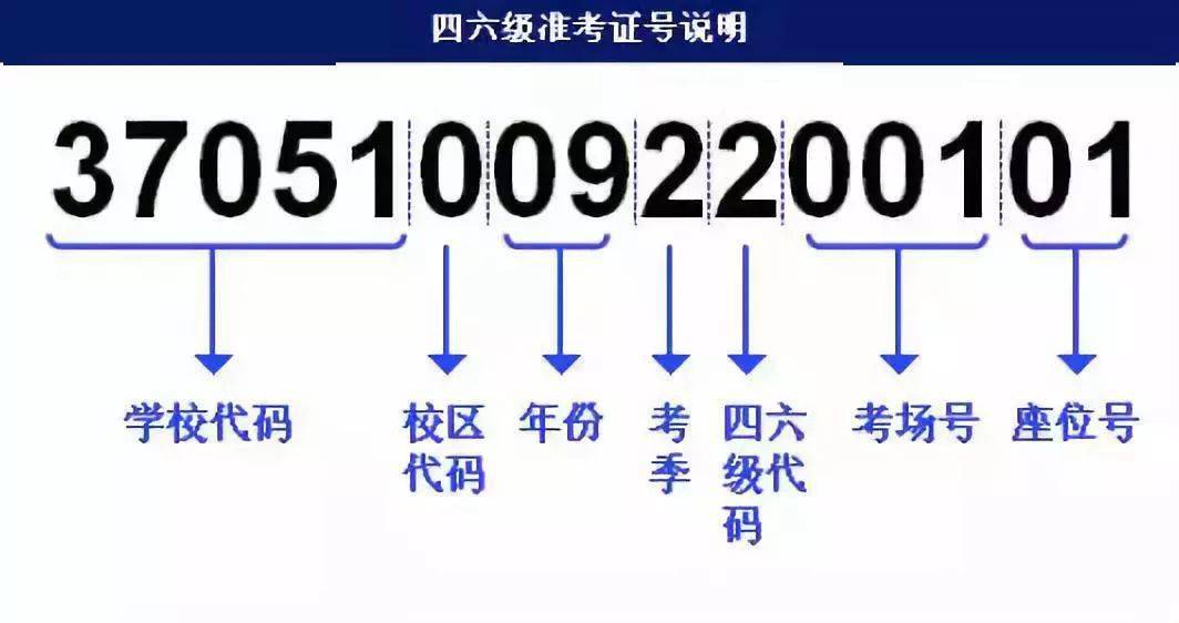 管家婆一肖,迅速執(zhí)行解答計劃_尊貴款56.781