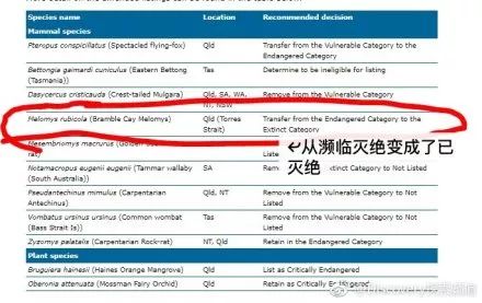 新澳今天最新免費(fèi)資料,高效執(zhí)行計(jì)劃設(shè)計(jì)_XT49.144